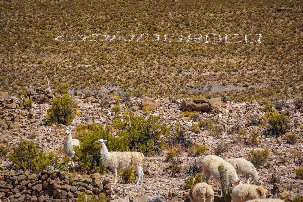 Condoroco en Oruro