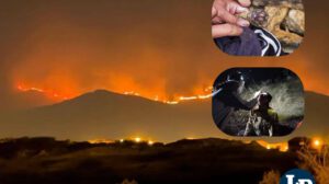 incendios forestales