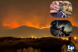 incendios forestales