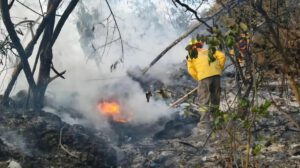 Gobernación y autoridades de Puerto Suárez convocan al COEM ante emergencia por los incendios