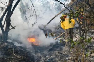 Gobernación y autoridades de Puerto Suárez convocan al COEM ante emergencia por los incendios