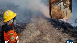 incendios forestales