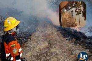 incendios forestales