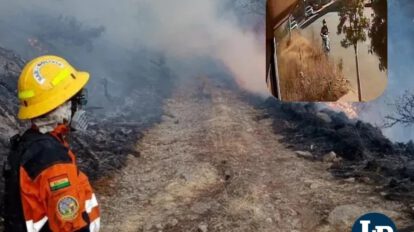 incendios forestales