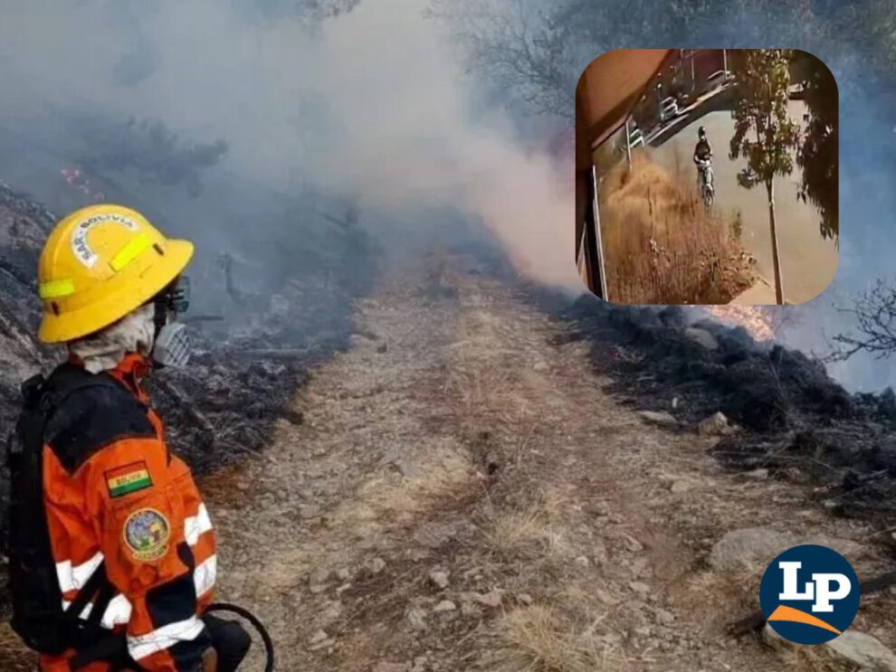 incendios forestales