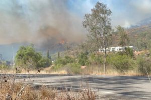 Debido a la ola de incendios forestales registrados el pasado fin de semana en la serranía de Sama, en el departamento de Tarija, el Comité de Operaciones de Emergencia Departamental (COED) decretó estado de emergencia.