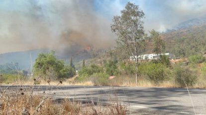 Debido a la ola de incendios forestales registrados el pasado fin de semana en la serranía de Sama, en el departamento de Tarija, el Comité de Operaciones de Emergencia Departamental (COED) decretó estado de emergencia.
