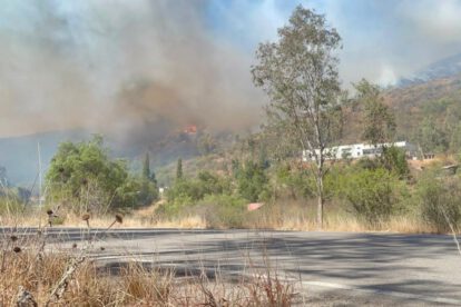 Debido a la ola de incendios forestales registrados el pasado fin de semana en la serranía de Sama, en el departamento de Tarija, el Comité de Operaciones de Emergencia Departamental (COED) decretó estado de emergencia.
