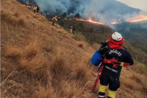 bombero voluntario