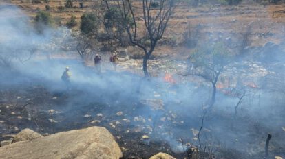 Los incendios han consumido aproximadamente 5.000 hectáreas