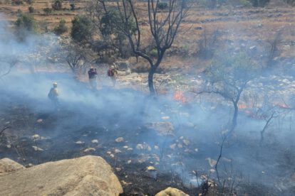Los incendios han consumido aproximadamente 5.000 hectáreas