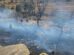 Los incendios han consumido aproximadamente 5.000 hectáreas