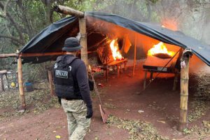 Un agente antidrogas