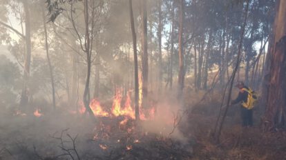 incendio forestal