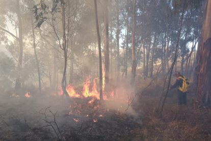 incendio forestal
