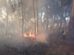 incendio forestal