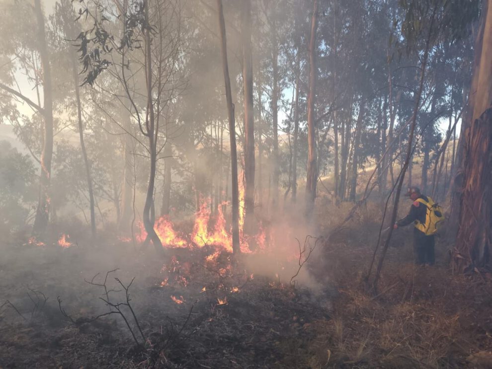 incendio forestal