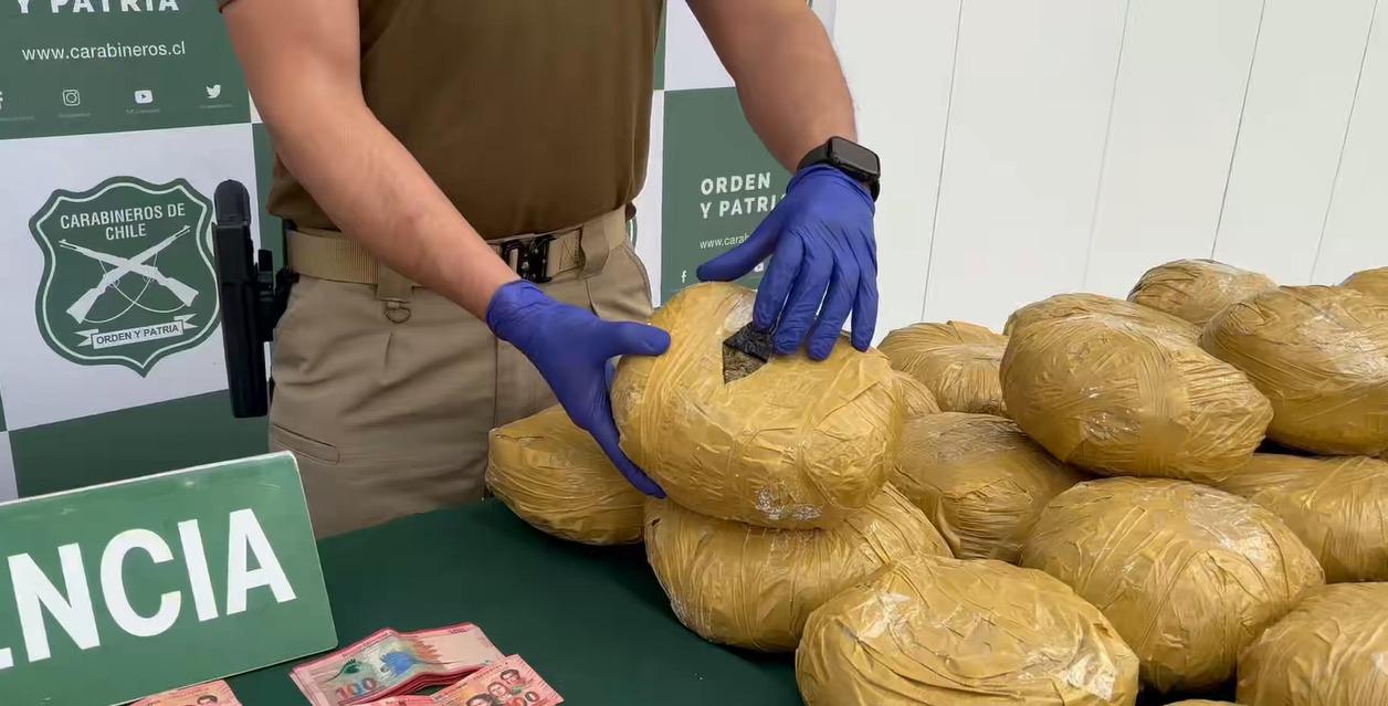 Carabineros exhibe parte de los paquetes de marihuana incautados junto al dinero decomisado
