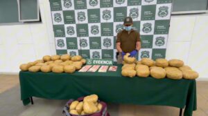 Carabineros expone la totalidad del cargamento de droga y el dinero