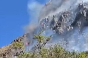 Incendio forestal en Vaca,