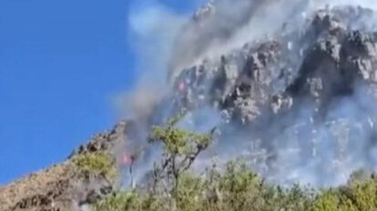 Incendio forestal en Vaca,