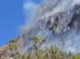 Incendio forestal en Vaca,