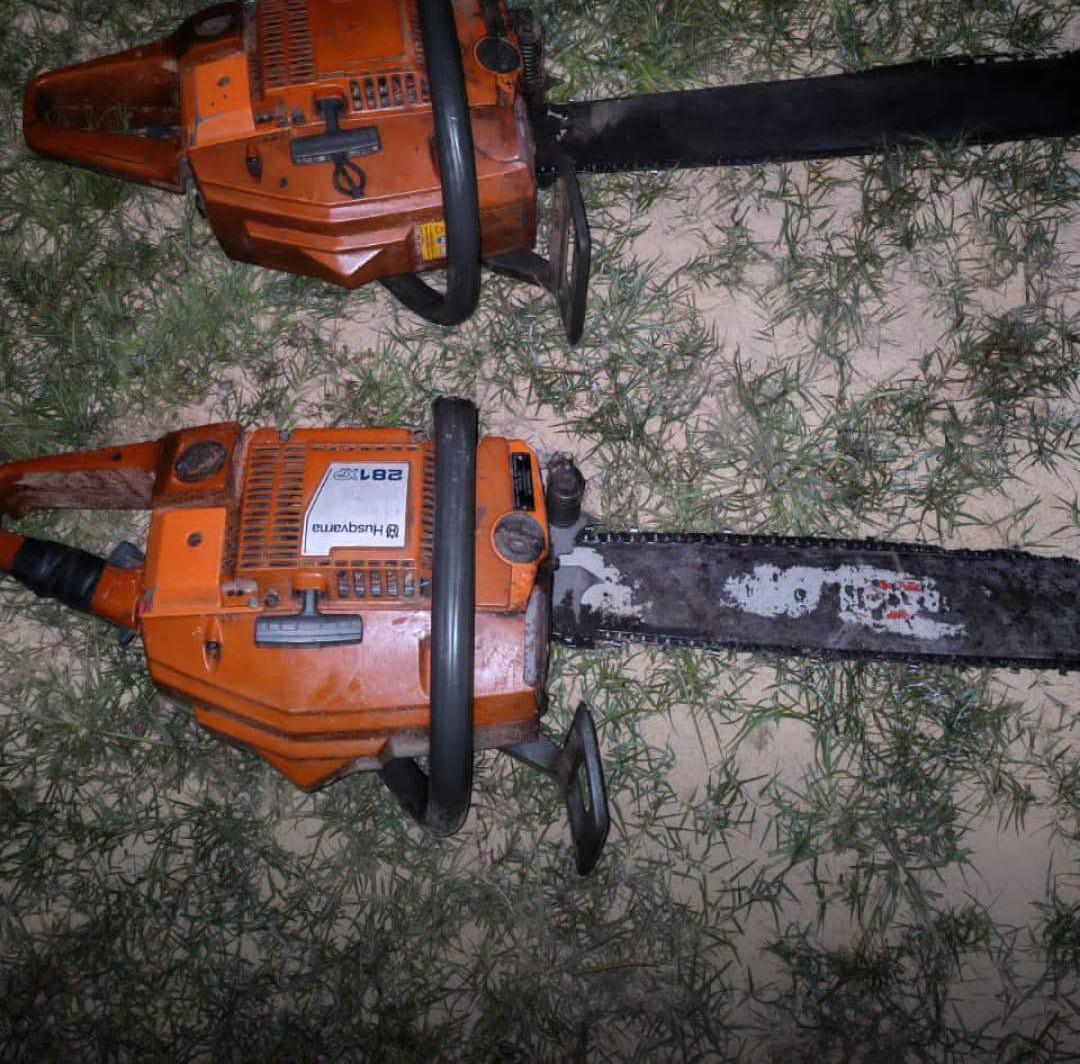 Como resultado del operativo, se comisaron 40 orcones de madera Masarandú, 10 tablones de Almendrillo y dos motosierras