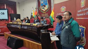 audiencia de YPFB y ANH en la asamblea legistativa