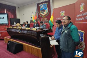 audiencia de YPFB y ANH en la asamblea legistativa