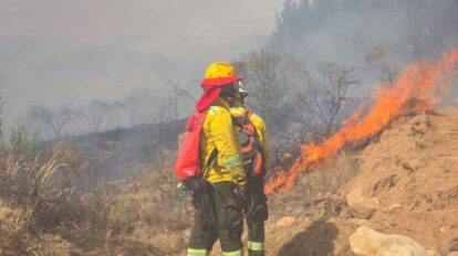 incendios forestales