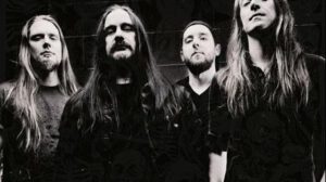 carcass
