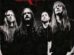 carcass