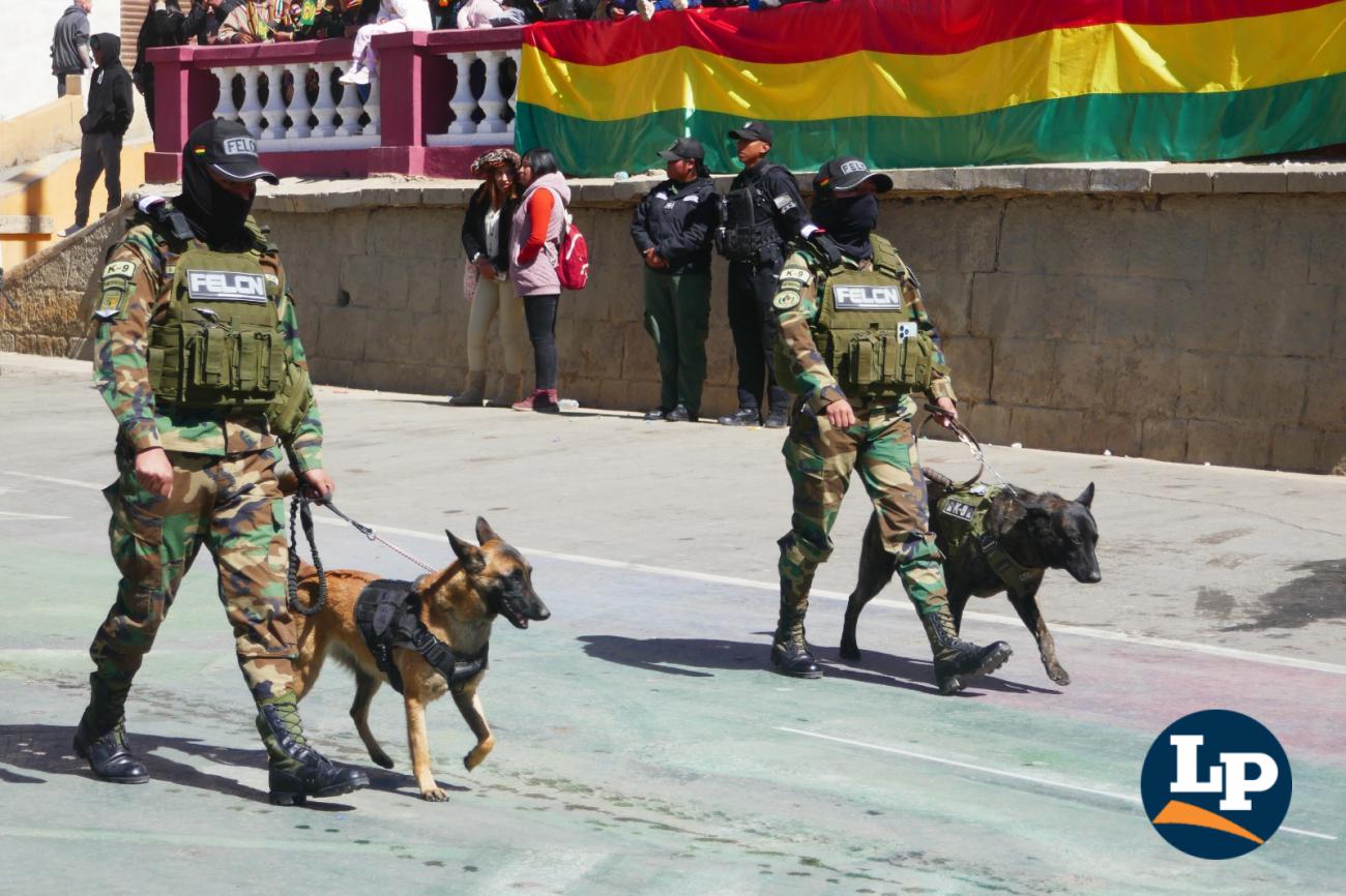 Guías y canines adiestrados de la Fuerza Especial de Lucha Contra el Narcotráfico (Felcn)