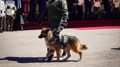 Un perro junto a un oficial