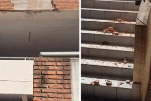 Daños estructurales de una escuela