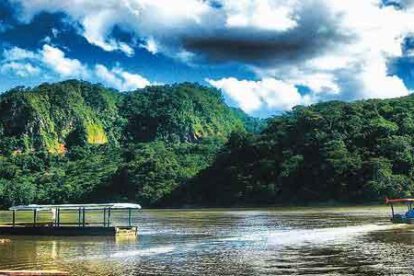 guanay