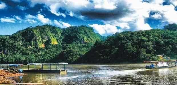 guanay