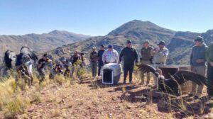 José y Beatríz, los dos cóndores andinos levantaron nuevamente vuelo, la tarde de este martes, en la comunidad de Vila Q‘asa