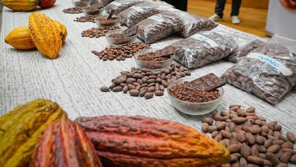 cacao silvestre boliviano