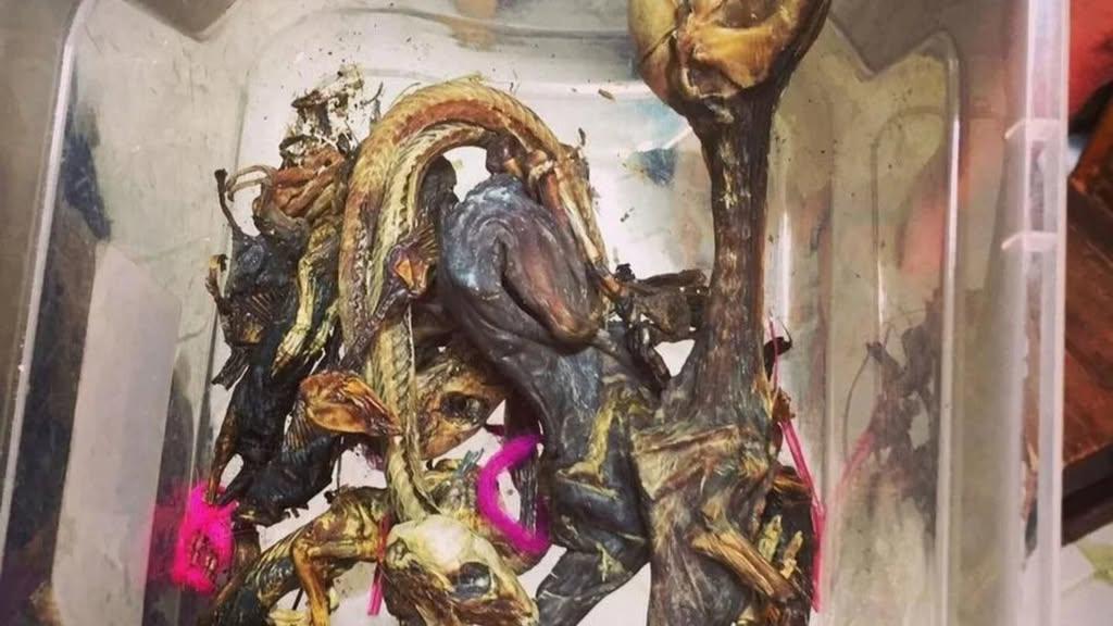 Los elementos fueron interpretados inicialmente como parte de una presunta práctica de magia negra