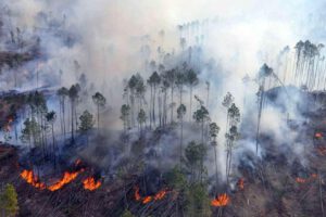 incendios