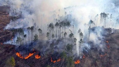 incendios