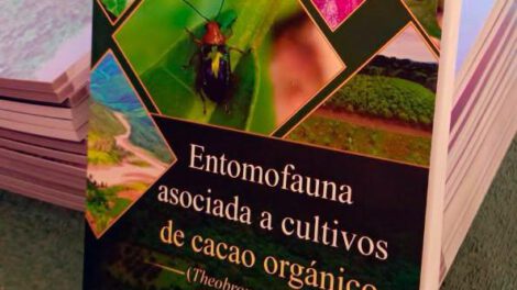 El hallazgo forma parte del libro “Entomofauna asociada a cultivos de cacao organico en la región de Alto Beni, La Paz, Bolivia“
