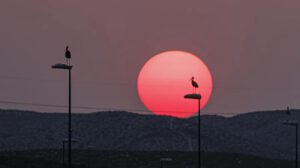 españa