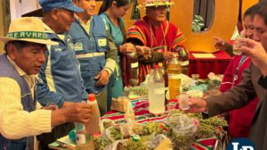 Feria de la medicina tradicional