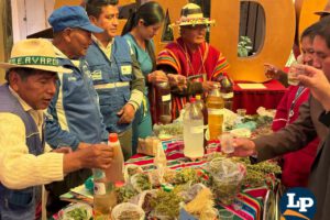 Feria de la medicina tradicional