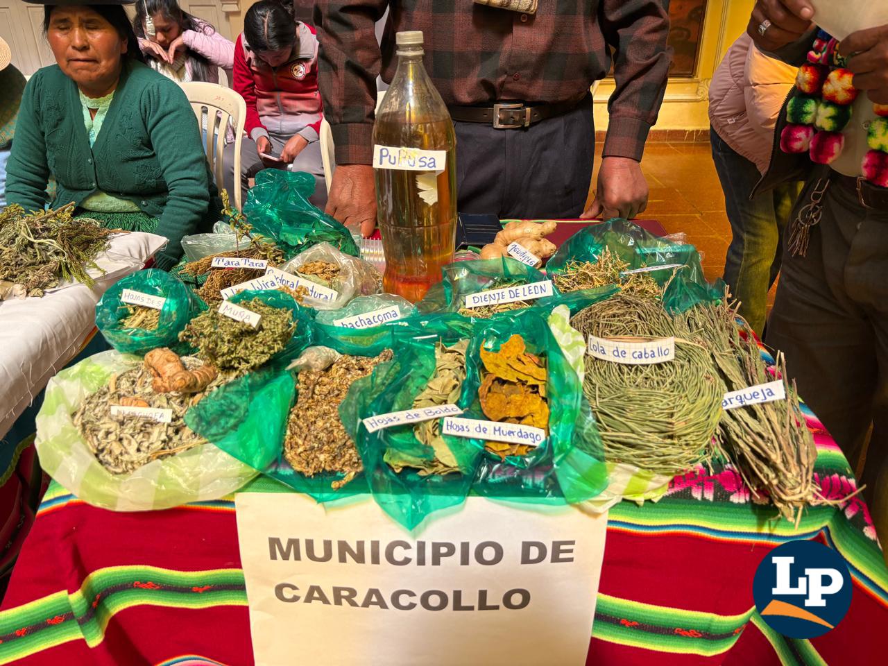 Plantas medicinales