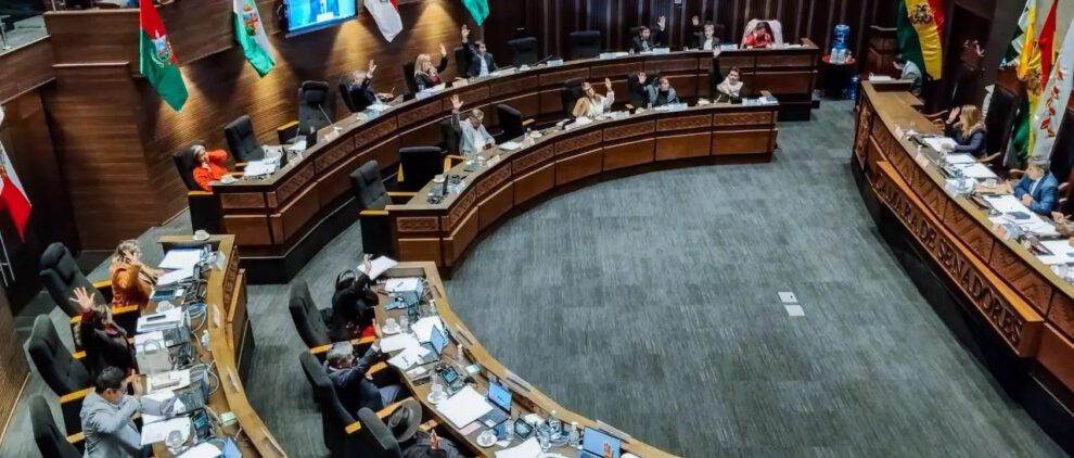 camara de senadores