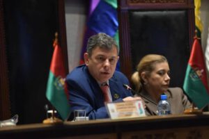 El presidente del Senado, Diego Ávila, en la sesión que aprobó la Ley de Adecuación de Financiamiento de Obligaciones Públicas