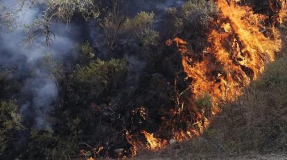 incendios forestales